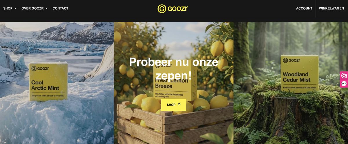 Schermafbeelding van de homepage van goozr.com